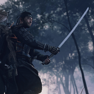 Severed Hearts, Ghost of Tsushima Wiki