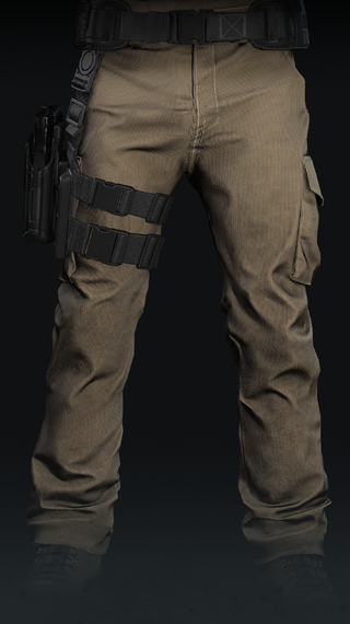 Cargo Pants BR.png