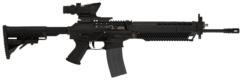 SIG 556, Sudden Attack Wiki