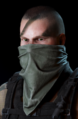 Bandana Wildlands.png