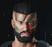 Dutch Facepaint