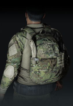 Crye AVS BR.png