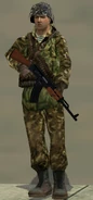 Russian Soldier 13.png (388 KB)