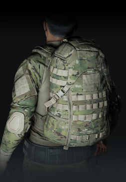 3 Day Assault Pack.png