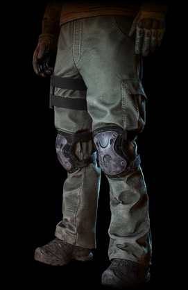 Cargo Pants.png