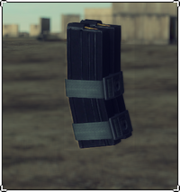 L22A2 Dual Magazines.png