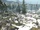 Gold Mountain Bivouac
