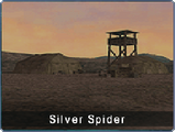 Silver Spider