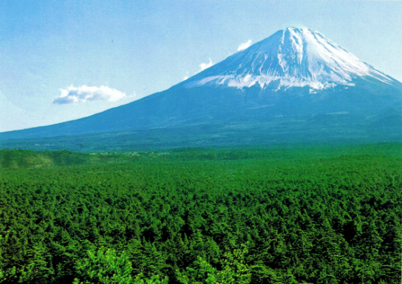 aokigahara forest map