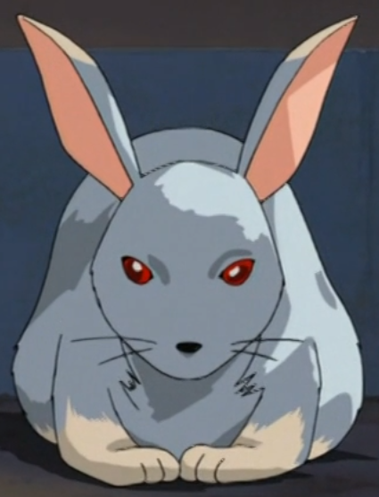 Anime & Manga / Killer Rabbit - TV Tropes
