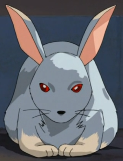 anime pet bunny