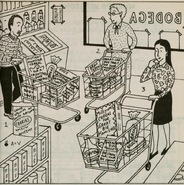 The Ghostwriter Detective Guide- Three shoppers at the store, in a puzzle to figure out which person is shopping for which type of family