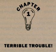 The lightbulb icon that appears with each chapter. The same icon is with the page numbers.