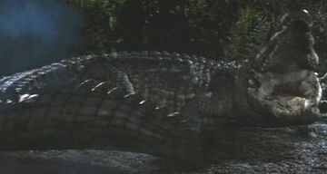 29 foot croc in maine