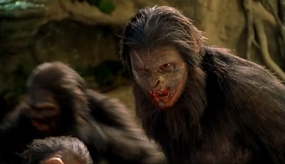 【未開封】「Wild Wise Apes」 未開封】「Wild Wise Apes」 Amazon.com: ZXHStore 3PCS Monkey