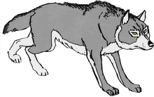 Timber.png