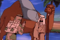 ARAH 50 Camel