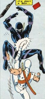 Storm Shadow and Snake Eyes in combat.