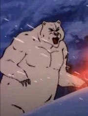 Polar bear with visible pec muscles