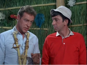 The ear-pieces of the Castaway's stethoscope.