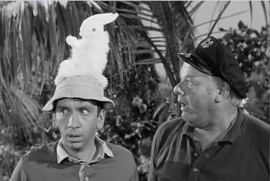 It's Magic | Gilligan's Island Wiki | Fandom