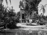 The Lookout Tower