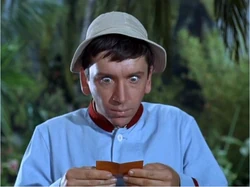 The Sweepstakes | Gilligan's Island Wiki | Fandom