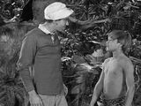 Gilligan Meets Jungle Boy