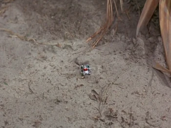 The ring that aids in the controlling of minds