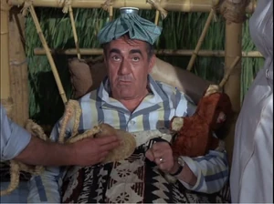 The diaphragm of the Castway's stethoscope.