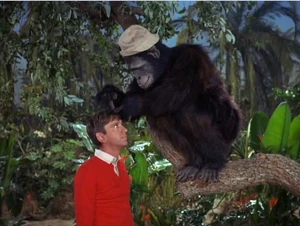 Gladys and Gilligan
