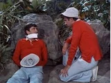 Spy Gilligan