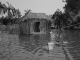 Communal Hut