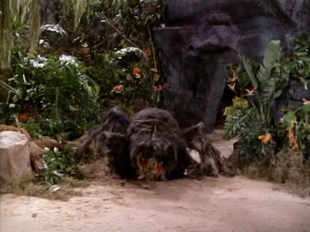 Black Mourning Spider