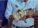 Geiger Counter