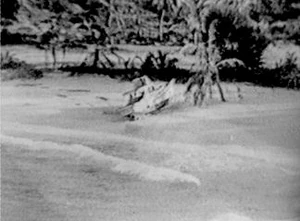 The S.S. Minnow beached on the Island.