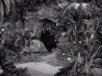 Gorilla Cave