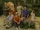 Surviving Gilligan's Island
