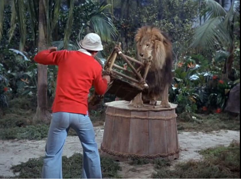 Feed The Kitty Gilligan S Island Wiki Fandom