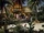 The Castaways Resort