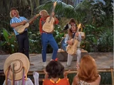 The Gnats