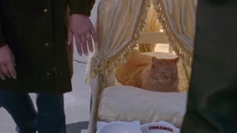 Gilmoregirlscinnamonswake03