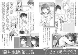 Light Novel Volume 5, Gimai Seikatsu Wiki