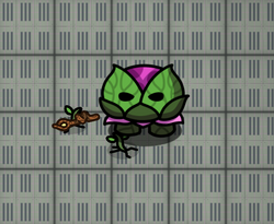 Boss Evil Plant, Gimkit Wiki