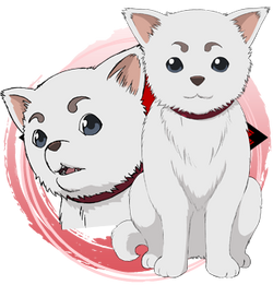 Sadaharu Wiki Gintama Fandom