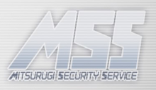 MSS Logo