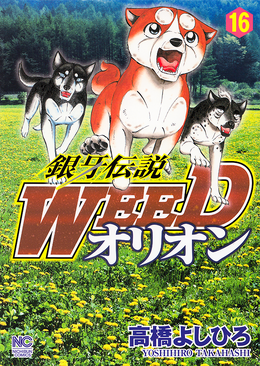 Gdwoband16cover.png