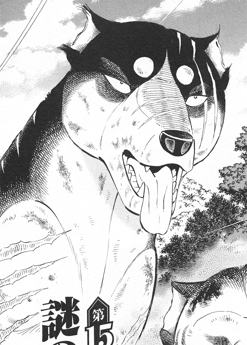 Bob Ginga Wiki Fandom