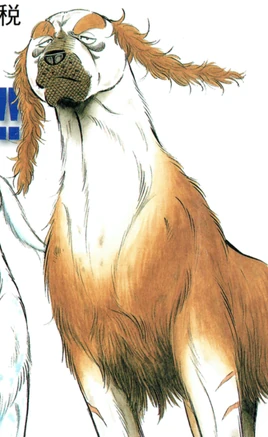 <small>Cover</small>