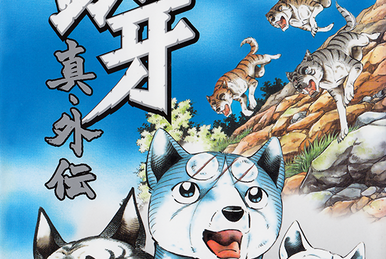 Ginga: Nagareboshi Gin Shin Gaiden/Gallery | Ginga Wiki | Fandom